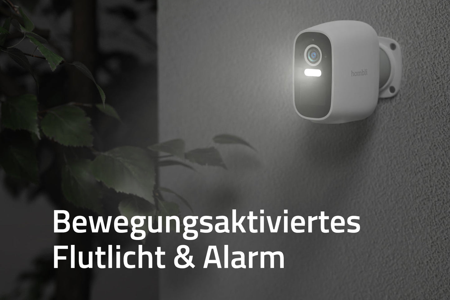 Hombli Batteriekamera (Smart Battery Cam)
