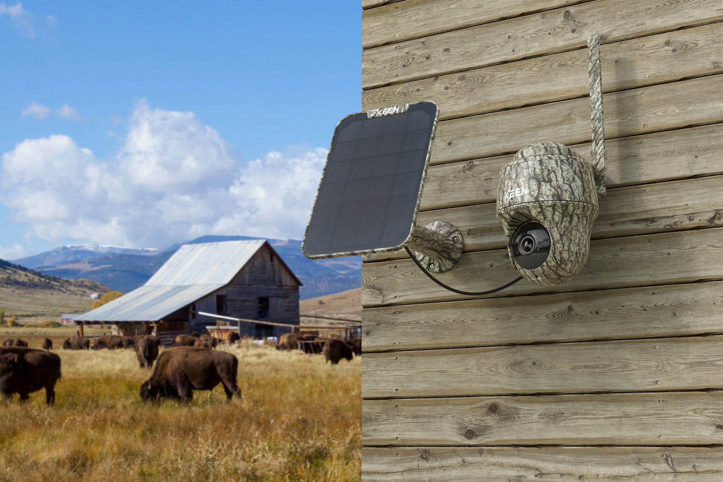 ReoLink Kamera (Go Ranger PT)